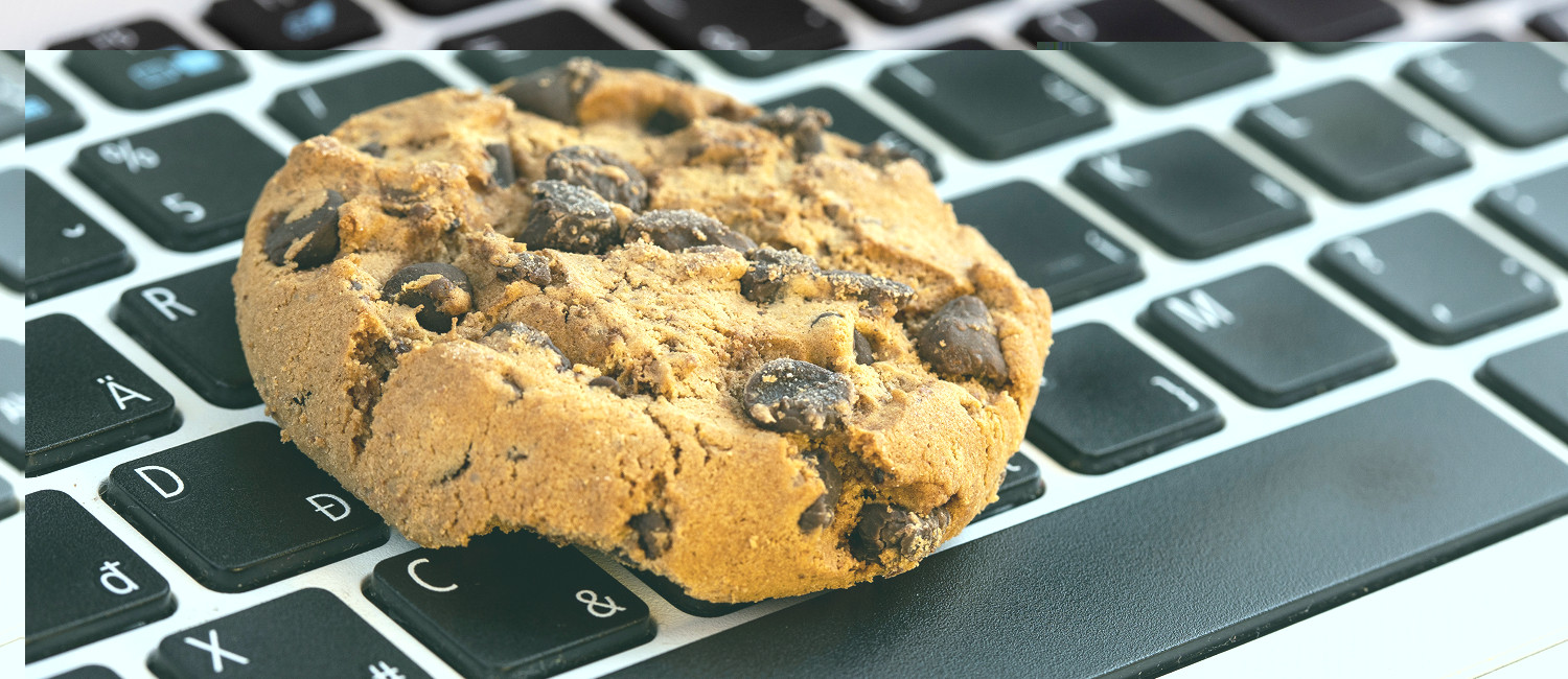 Website Cookie Policy For Country Inn Sonora